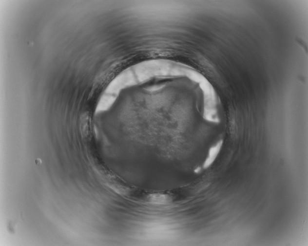 X0000102540169200808291850