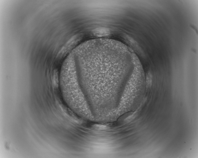 X0000102540170200808291850