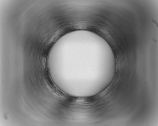 X0000102540171200808291850