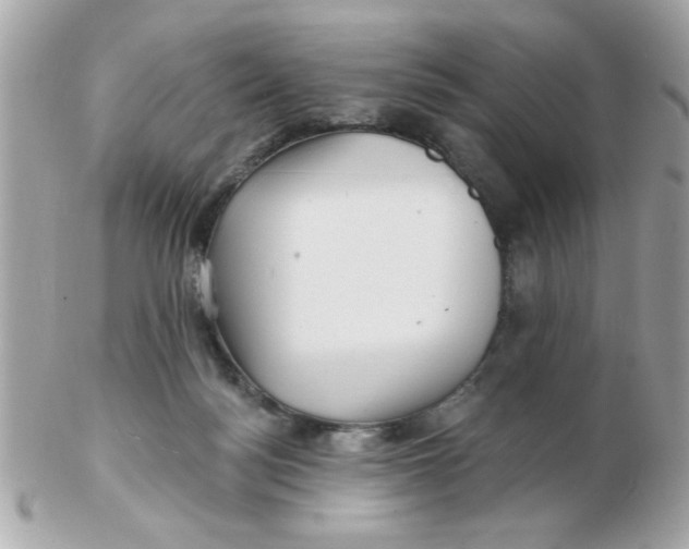 X0000102540172200808291850