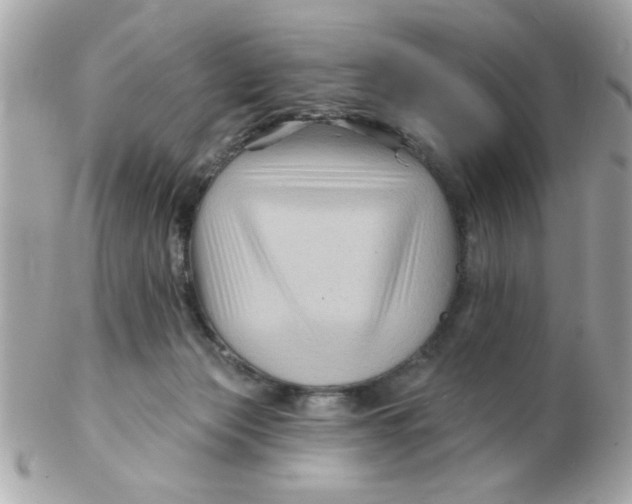 X0000102540173200808291850