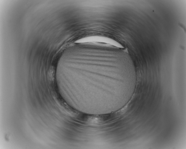 X0000102540174200808291850