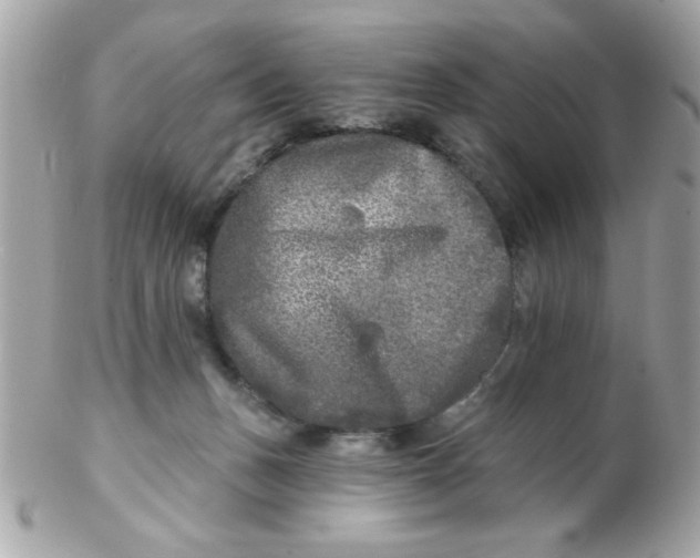 X0000102540175200808291850