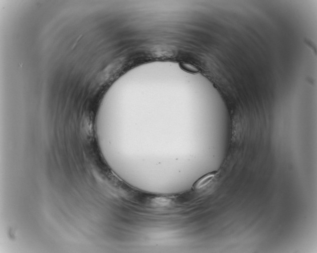 X0000102540176200808291850