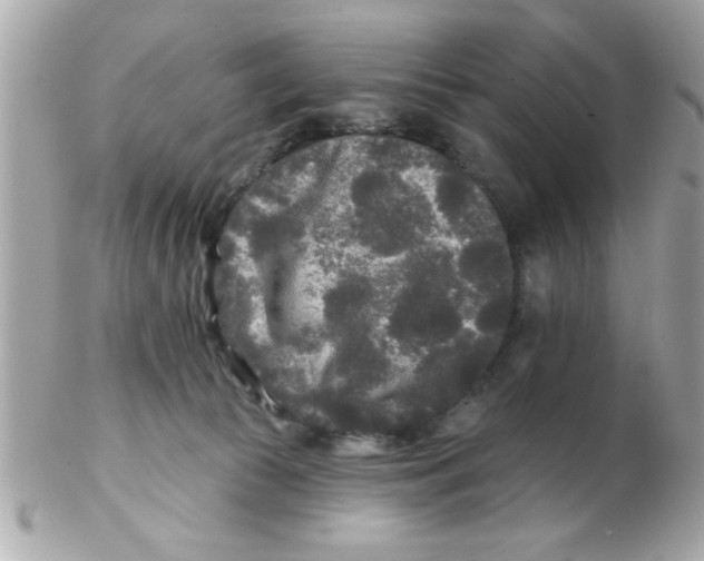 X0000102540177200808291850