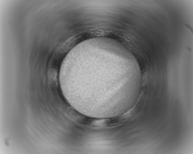 X0000102540178200808291850