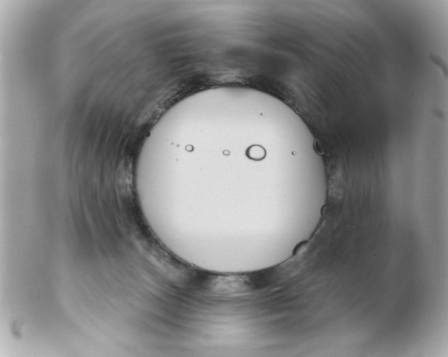 X0000102540179200808291850