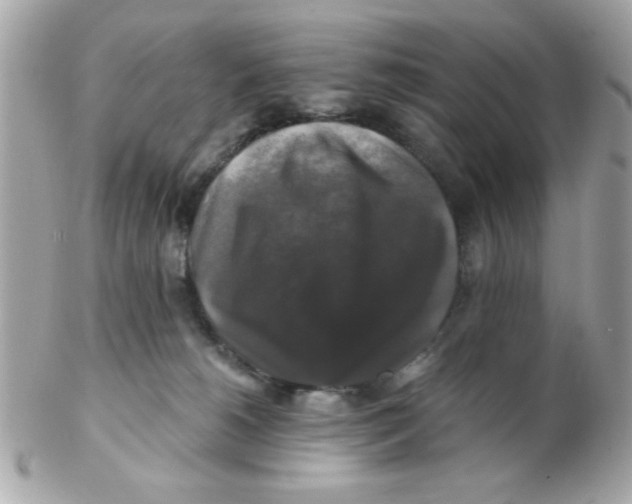 X0000102540180200808291850