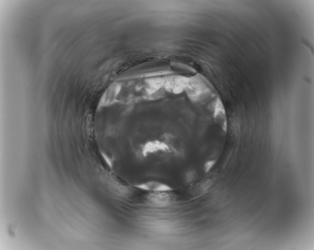 X0000102540181200808291850