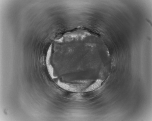 X0000102540182200808291850