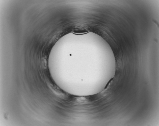 X0000102540183200808291850