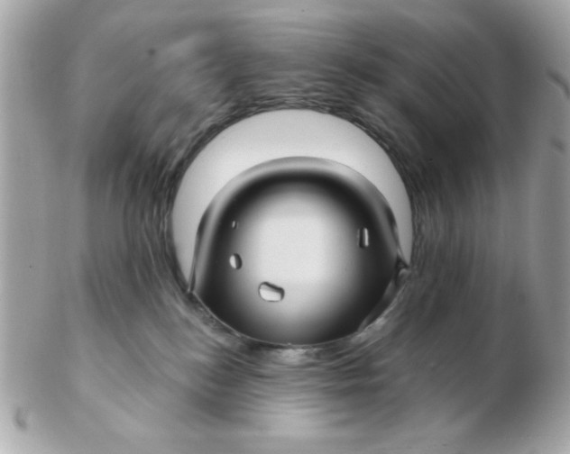 X0000102540184200808291850