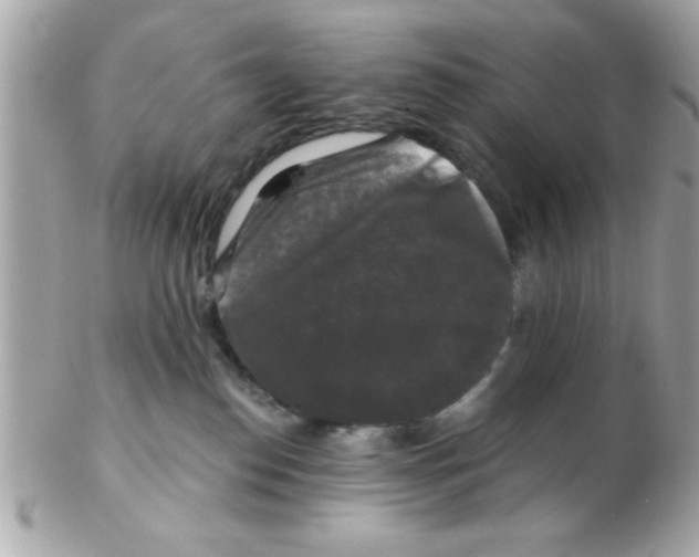 X0000102540186200808291850