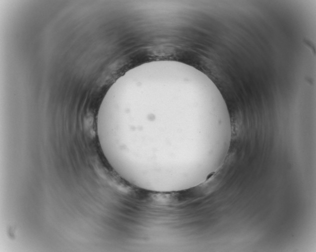 X0000102540187200808291850