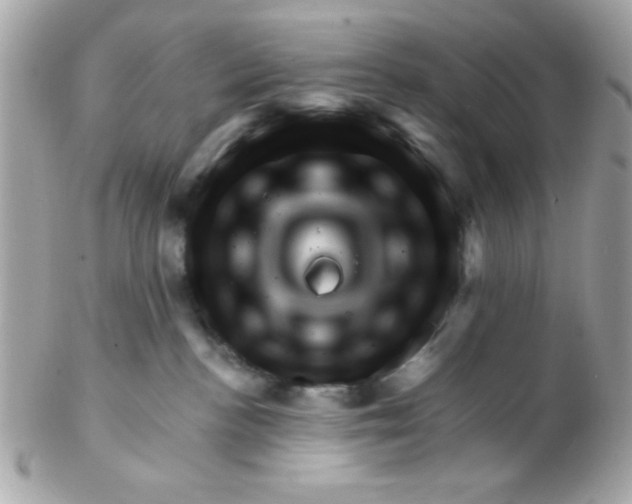 X0000102540188200808291850