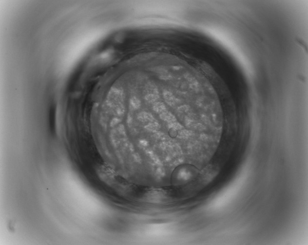 X0000102540189200808291850