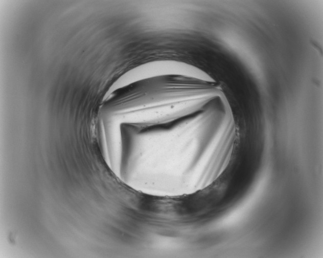 X0000102540190200808291850