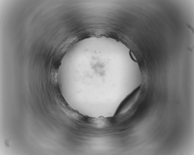 X0000102540191200808291850