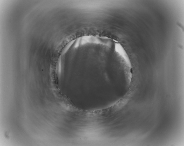 X0000102540192200808291850