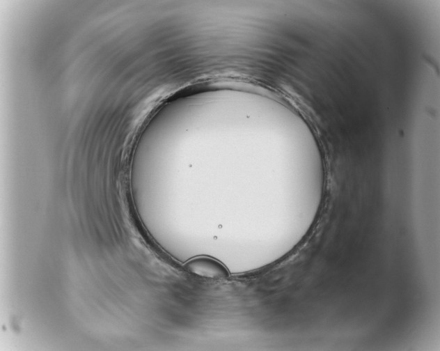 X0000102540193200808291849