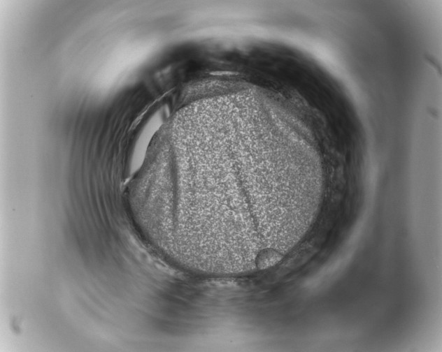 X0000102540194200808291849