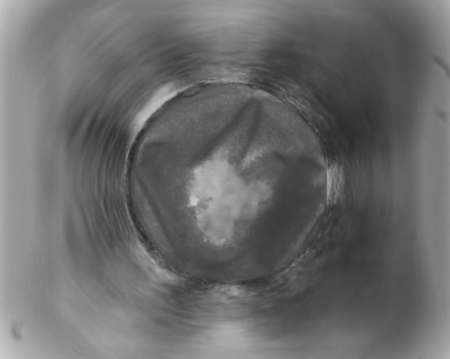 X0000102540195200808291849