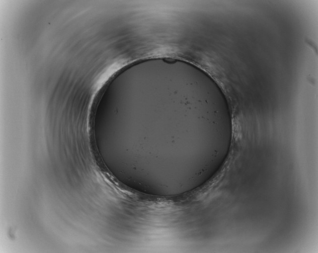 X0000102540196200808291849