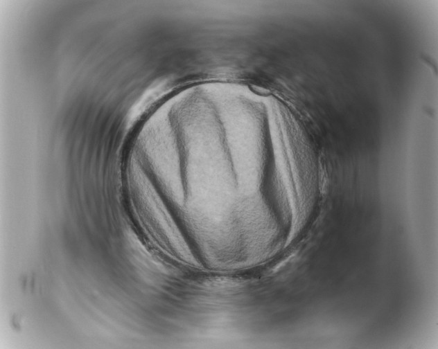 X0000102540198200808291849