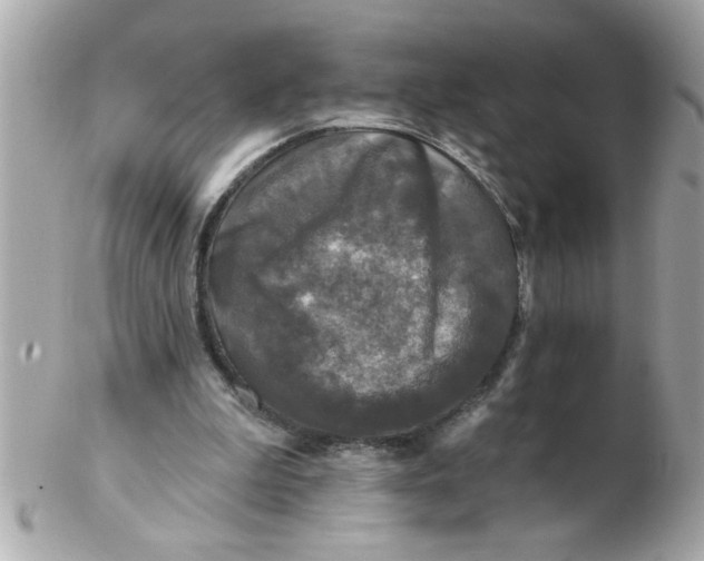 X0000102540199200808291849