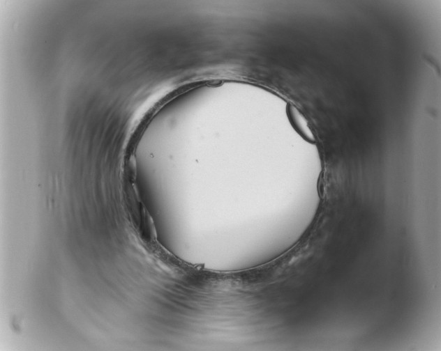 X0000102540200200808291849