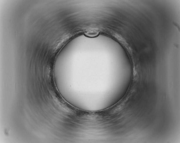 X0000102540201200808291849