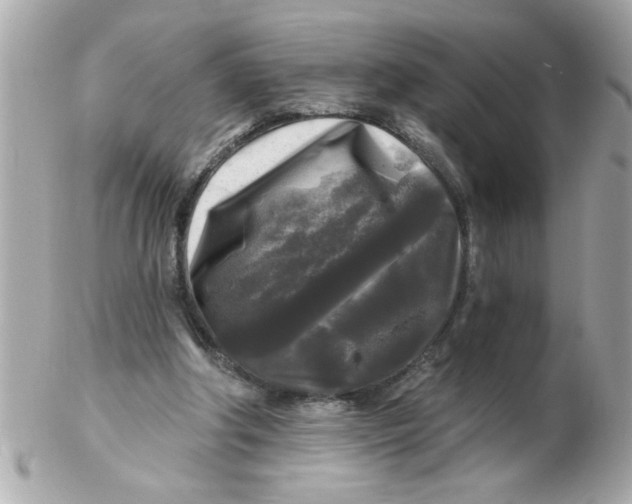 X0000102540202200808291849