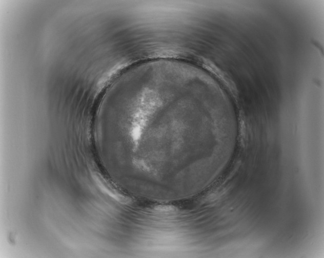 X0000102540203200808291849