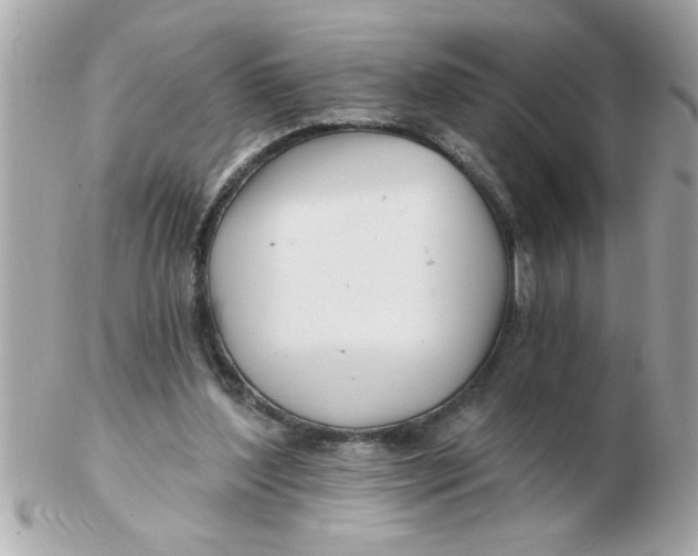 X0000102540204200808291849