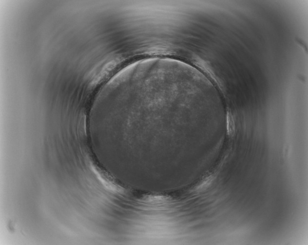 X0000102540205200808291849