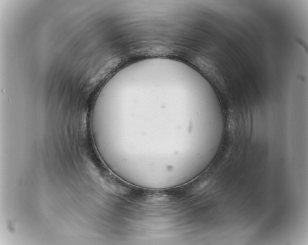 X0000102540206200808291849