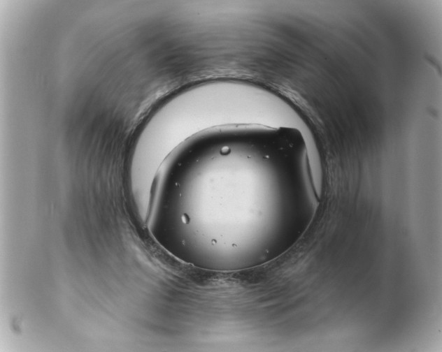 X0000102540207200808291849