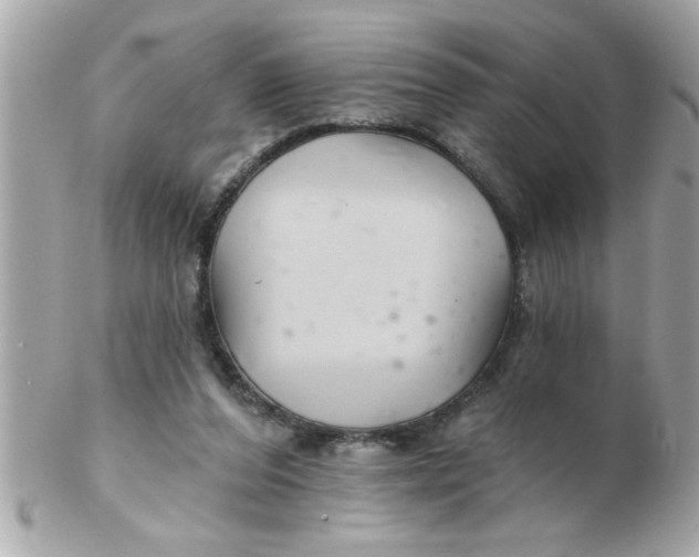 X0000102540208200808291849