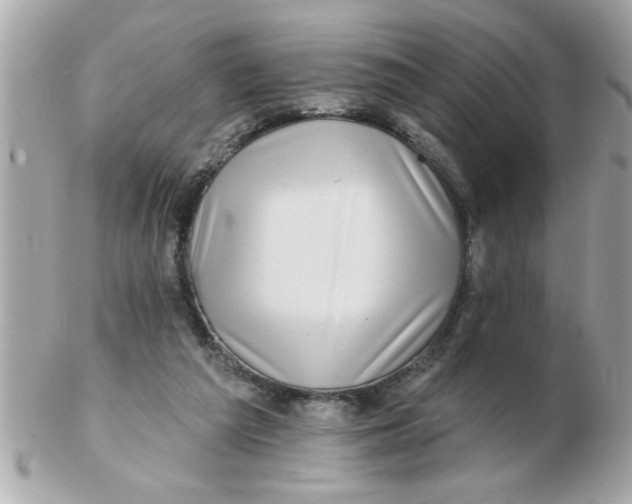 X0000102540209200808291849