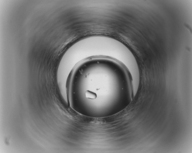 X0000102540211200808291849