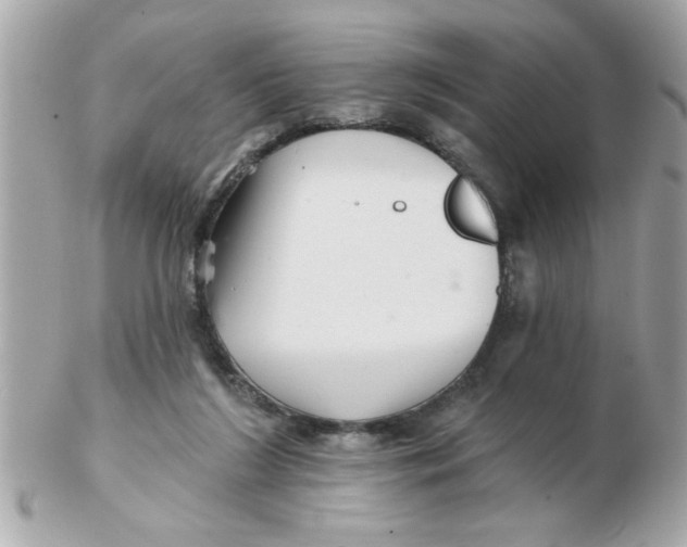 X0000102540212200808291849