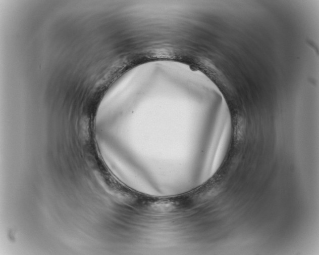 X0000102540213200808291849