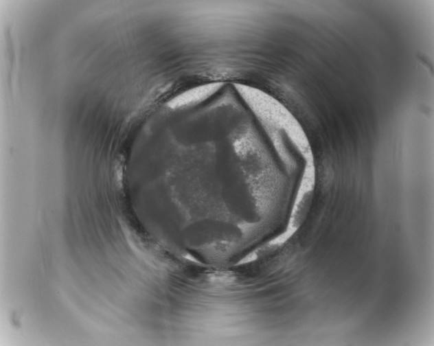 X0000102540214200808291849