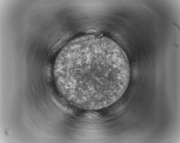 X0000102540215200808291849