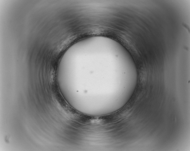 X0000102540216200808291849