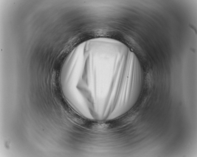 X0000102540217200808291849