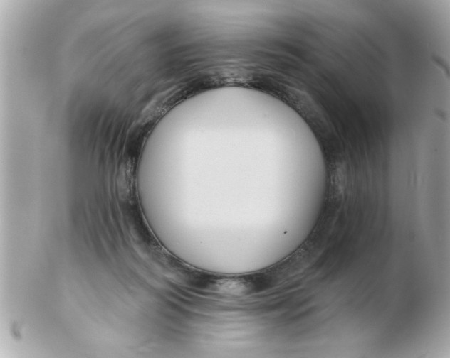 X0000102540218200808291849