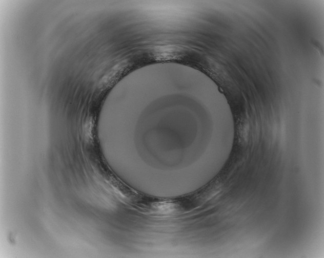 X0000102540219200808291849