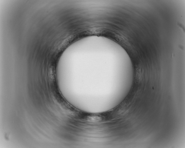 X0000102540220200808291849