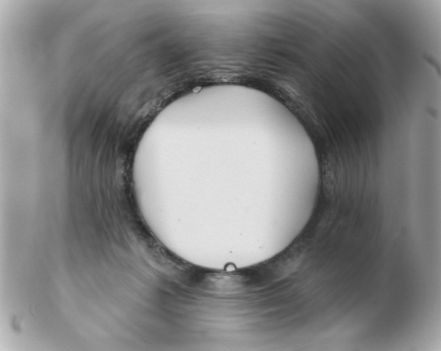 X0000102540221200808291849